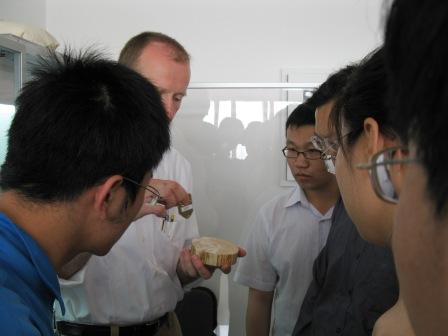 德國RINTECH公司應用科學(xué)家來(lái)到中國林業(yè)科學(xué)院培訓Lignostation年輪密度工作站